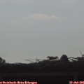 08_40-mast.jpg