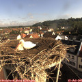 08_40-nest.jpg