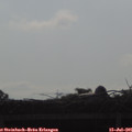 08_45-mast.jpg