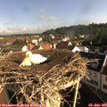 08_45-nest.jpg