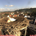 08_55-nest.jpg