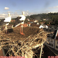 09_15-nest.jpg