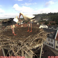 09_50-nest.jpg