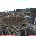 10_25-nest.jpg