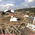 13_05-nest.jpg