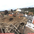 14_20-nest.jpg