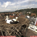 14_45-nest.jpg