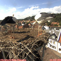 15_55-nest.jpg
