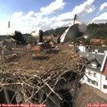 16_30-nest.jpg