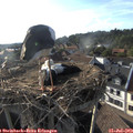 18_45-nest.jpg