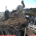 19_05-nest.jpg