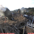 19_40-nest.jpg
