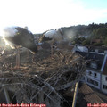 20_00-nest.jpg