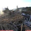 20_05-nest.jpg