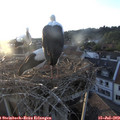 20_15-nest.jpg