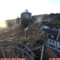 20_25-nest.jpg
