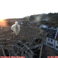 21_00-nest.jpg