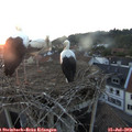21_05-nest.jpg