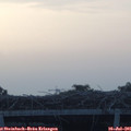 05_45-mast.jpg