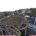 05_45-nest.jpg