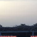 05_50-mast.jpg
