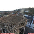 05_50-nest.jpg
