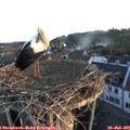 06_05-nest.jpg