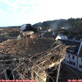 06_30-nest.jpg