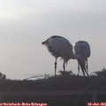 06_40-mast.jpg