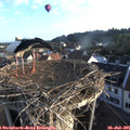 06_40-nest.jpg