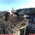 06_55-nest.jpg