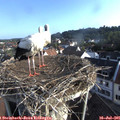 07_30-nest.jpg