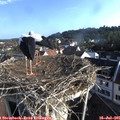 07_40-nest.jpg