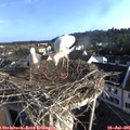 07_45-nest.jpg