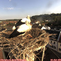 08_00-nest.jpg