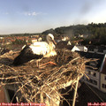 08_05-nest.jpg