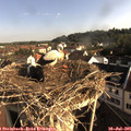 08_10-nest.jpg