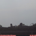 08_15-mast.jpg