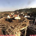 08_15-nest.jpg