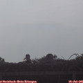 08_20-mast.jpg
