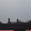 08_30-mast.jpg