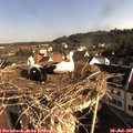 08_30-nest.jpg