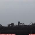 08_35-mast.jpg