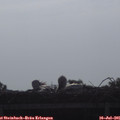 08_40-mast.jpg