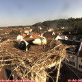 08_40-nest.jpg