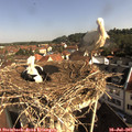 09_10-nest.jpg