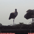 09_15-mast.jpg