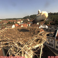 09_25-nest.jpg
