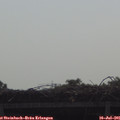 09_35-mast.jpg