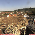09_35-nest.jpg